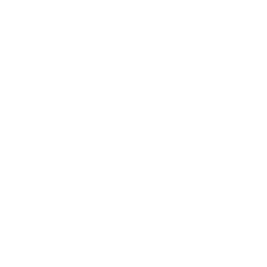 Icon heart white 2x