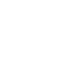 Icon acoustic white 2x