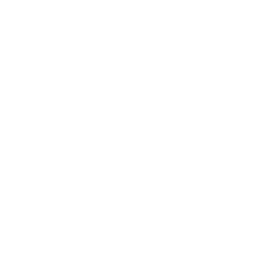 Icon vocals white 2x