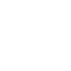 Icon community white 2x