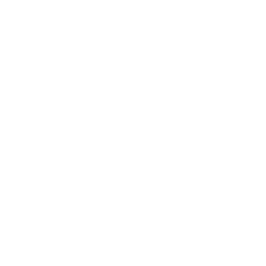Icon theory white 2x