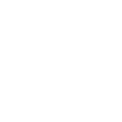 Icon worship white 2x