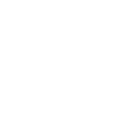 Icon fundamentals white 2x